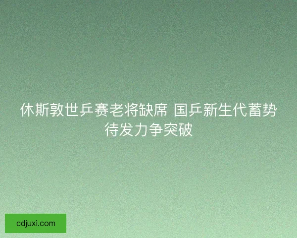 休斯敦世乒赛老将缺席 国乒新生代蓄势待发力争突破