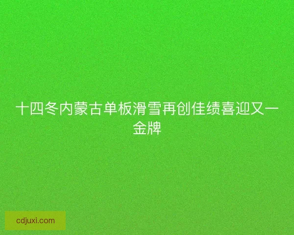 十四冬内蒙古单板滑雪再创佳绩喜迎又一金牌
