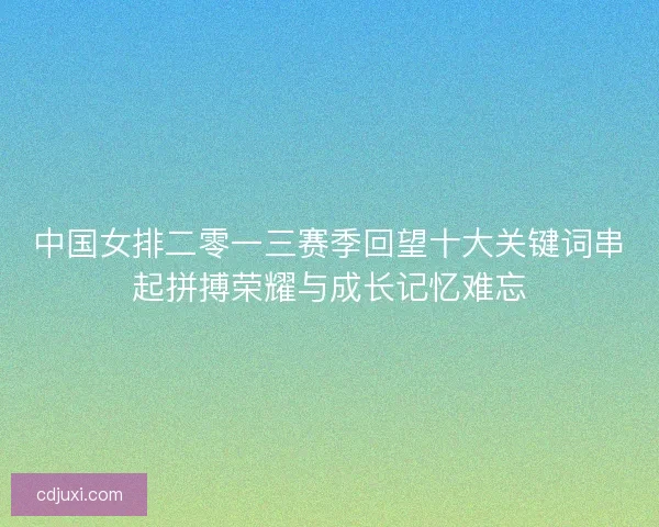 中国女排二零一三赛季回望十大关键词串起拼搏荣耀与成长记忆难忘